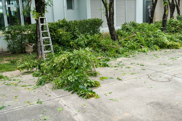 Best Storm Damage Tree Cleanup  in Flint Hill, MO